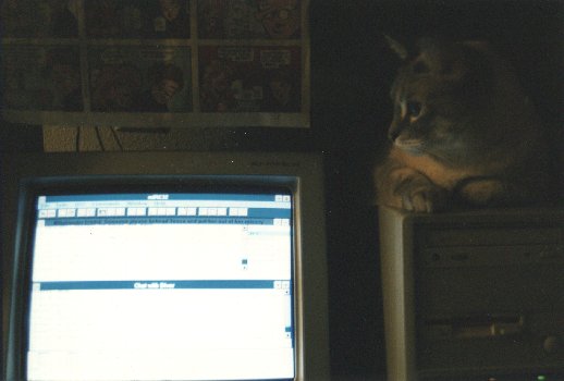 computer buddy